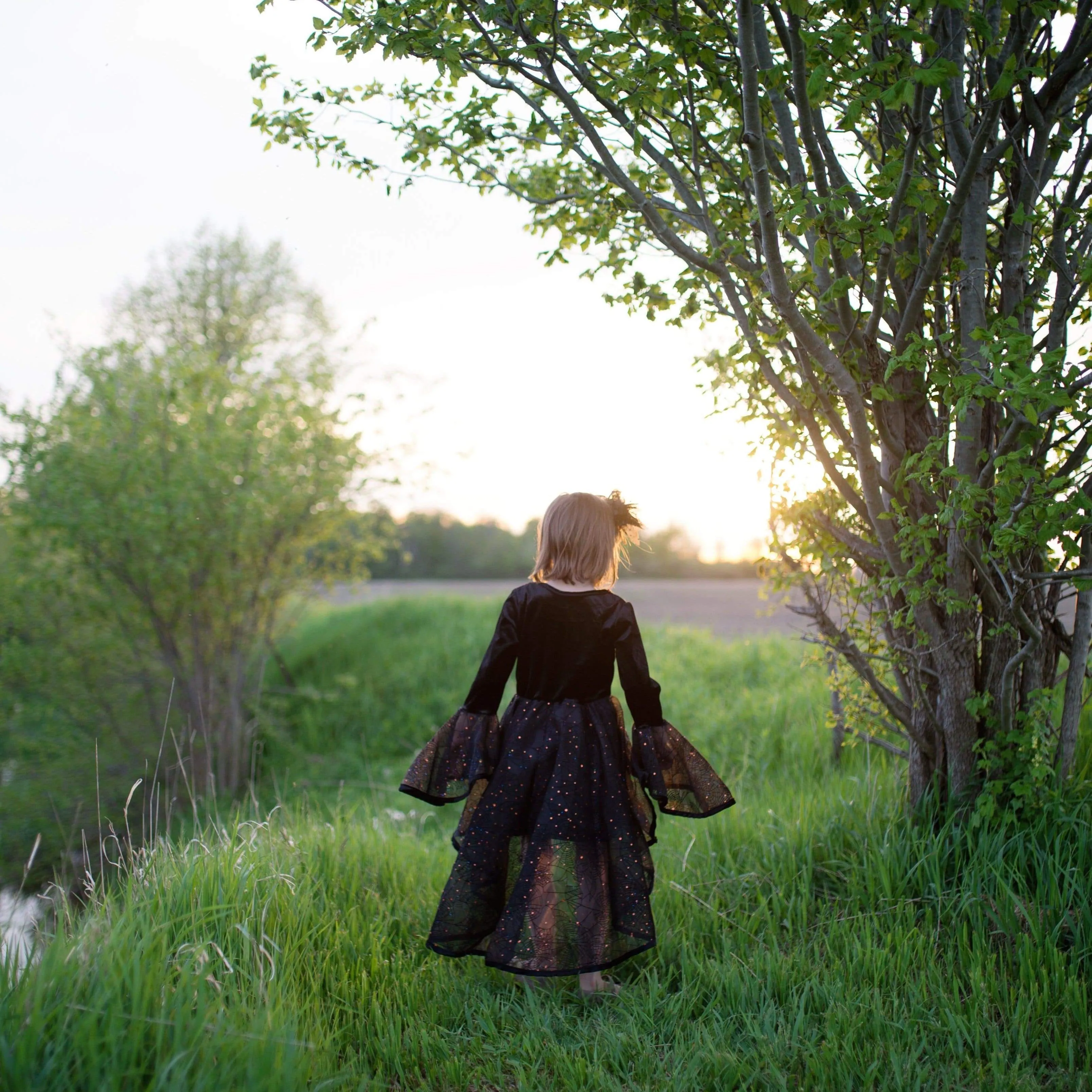 The Spider Witch Dress